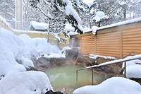冬の温泉三昧★3連泊湯治プラン